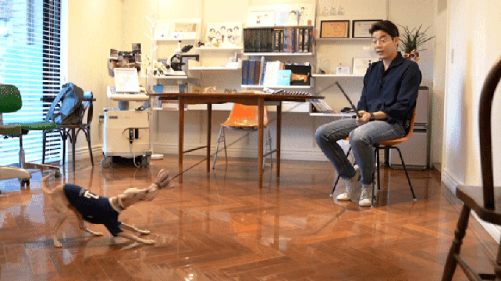 닥터설 터그 낚시대 (실타래/터그링)-상품이미지-33