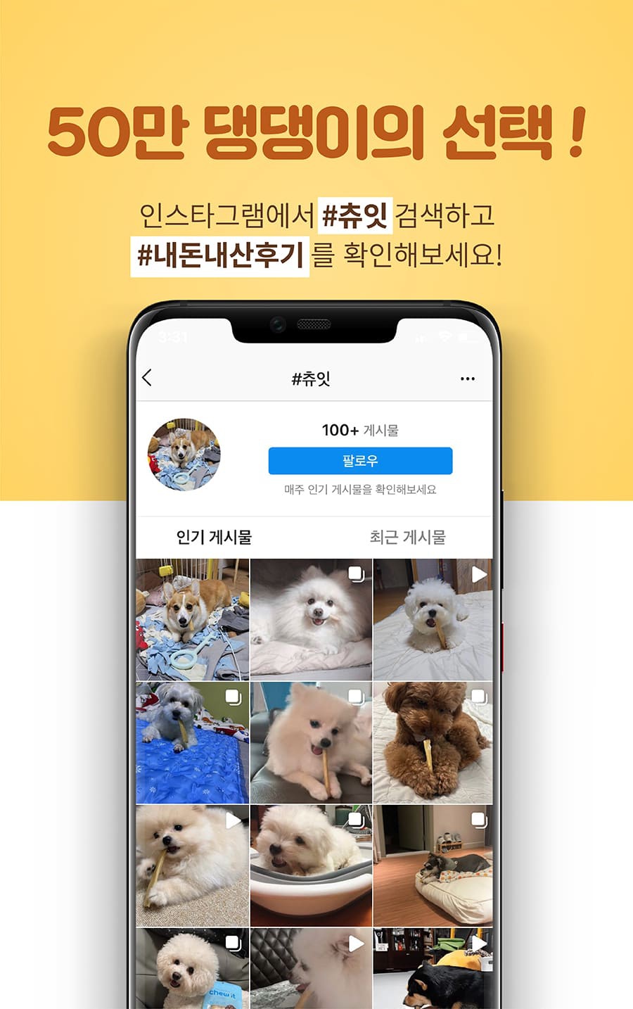 it 츄잇 만두 (닭/오리/칠면조)-상품이미지-4