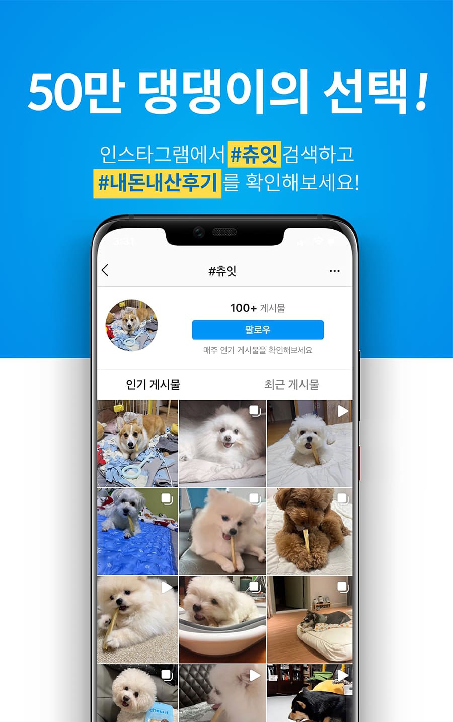 it 츄잇 중대형견용 (플레인/산양유)-상품이미지-4