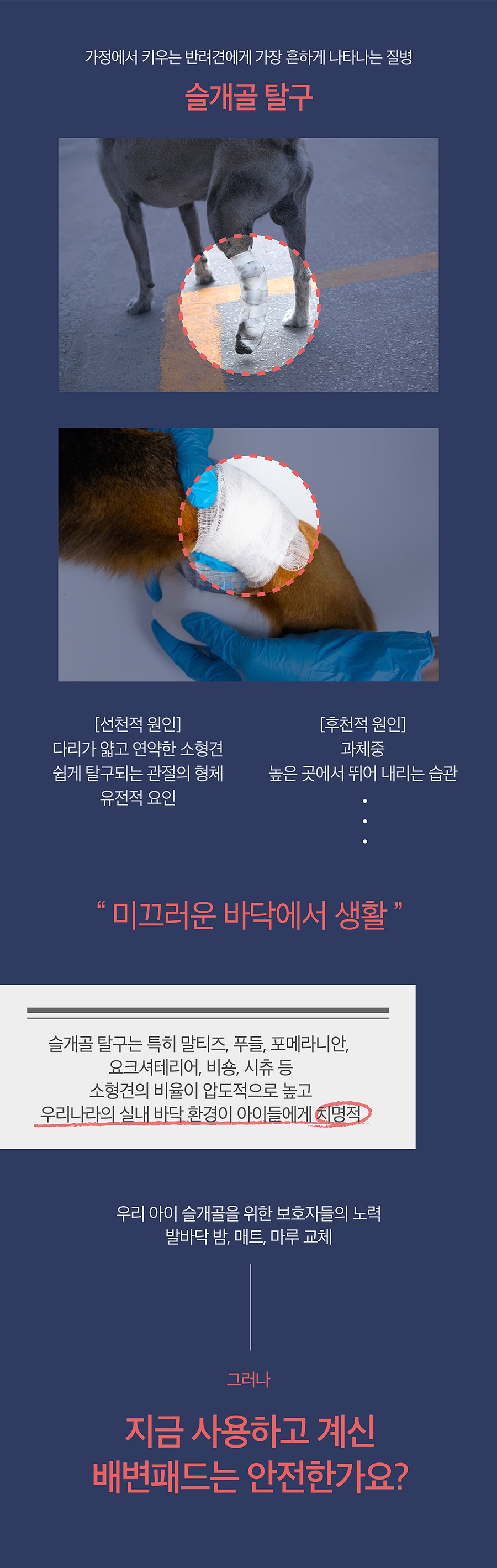 (미운영) 닥터설 논슬립 패드 특대용량 (50매*6개)-상품이미지-3