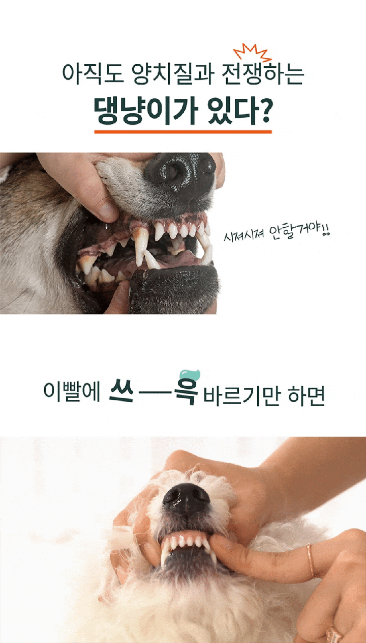 플라고 치약 플러스 (80g)-상품이미지-0